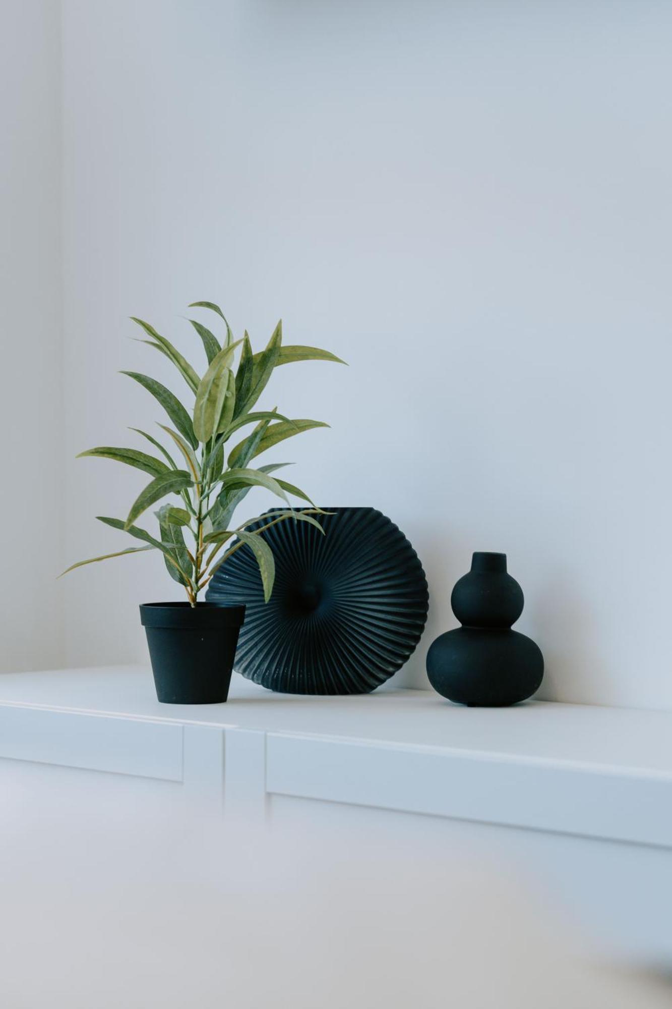 Maison De Luxe Szeged Ngoại thất bức ảnh